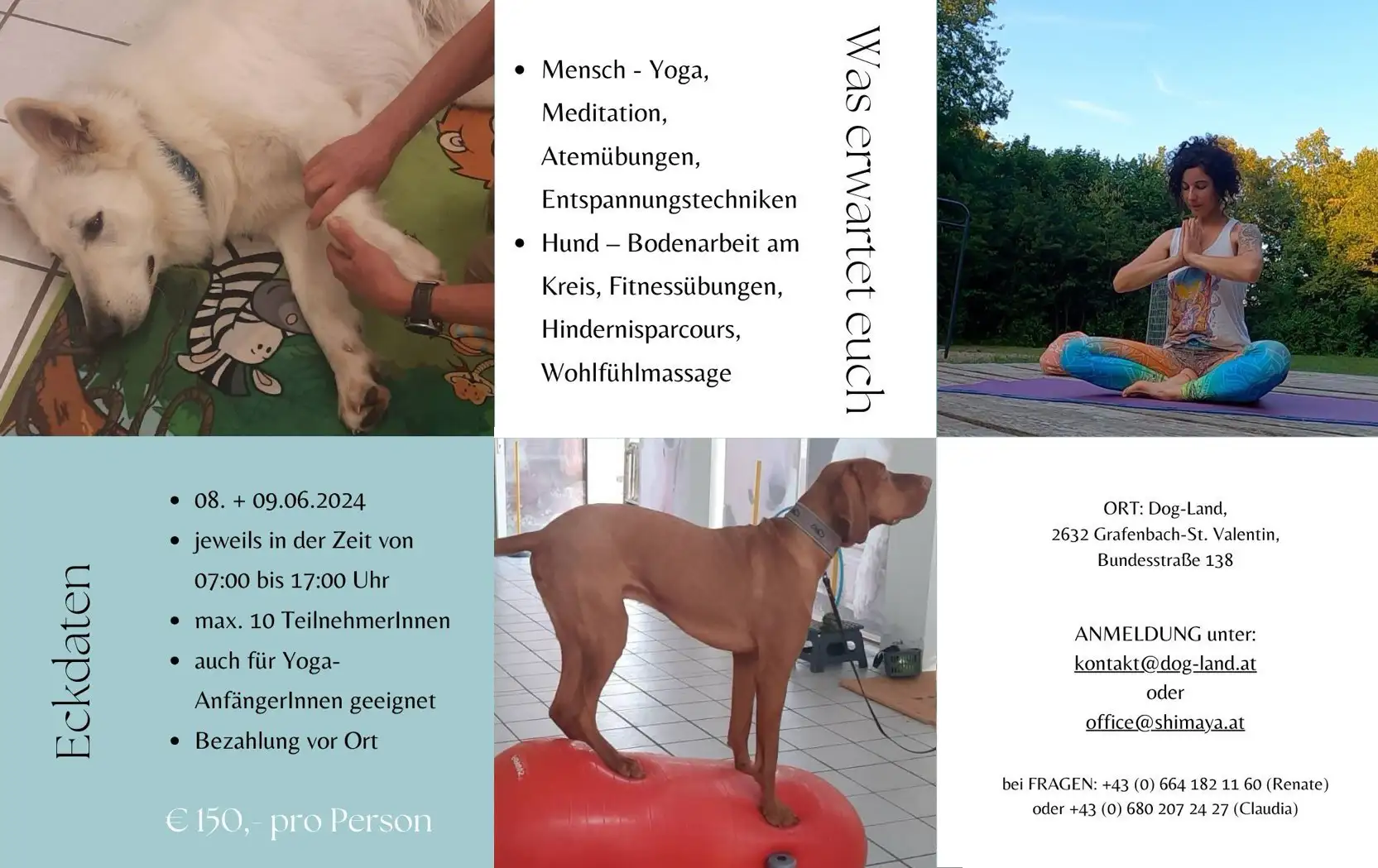 Yoga_Fitness_Studio_Angebot_Kurse_Übersicht_Flyer_Foto_Hochformat_Türkis