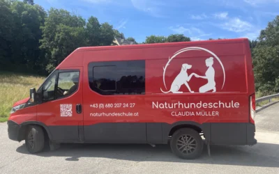 Camper mit neuer Autobeklebung