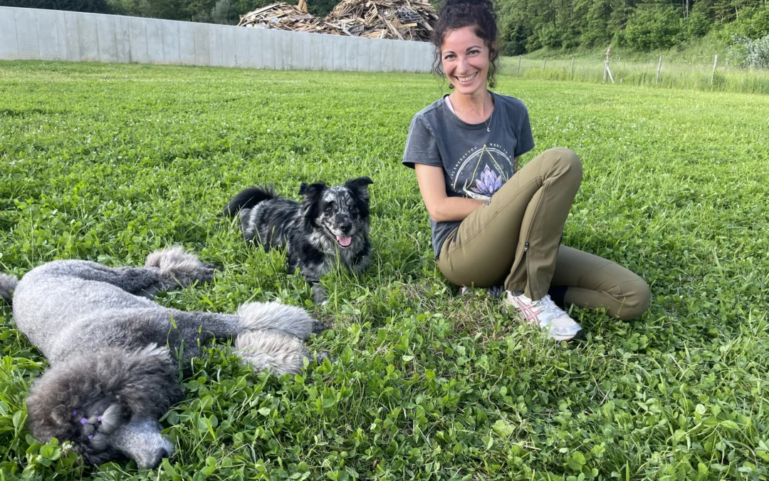 Abschluss der Hundetrainerausbildung