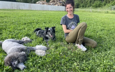 Abschluss der Hundetrainerausbildung