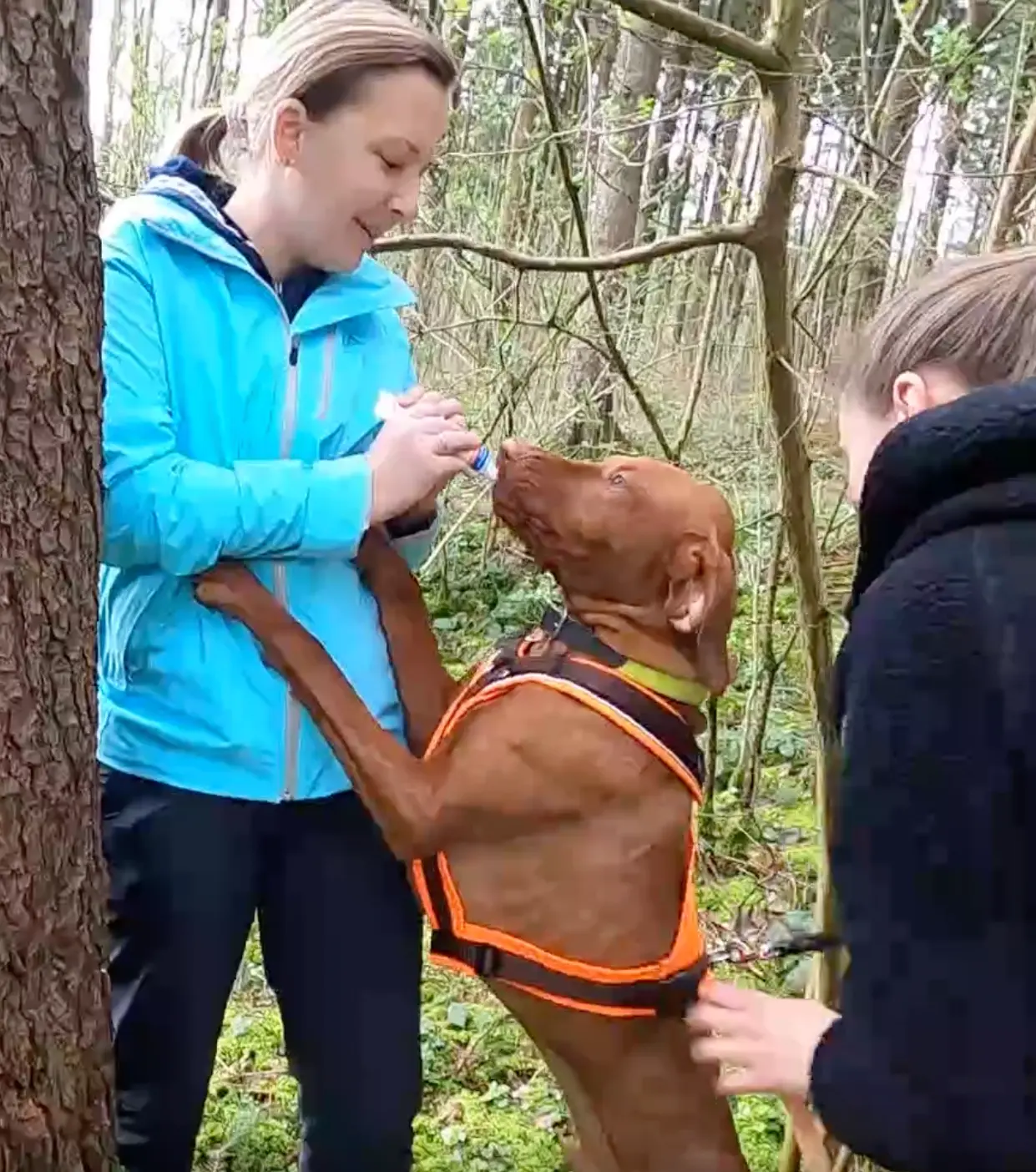 Joseph, gesuchte Person, Claudia Müller beim Mantrailing