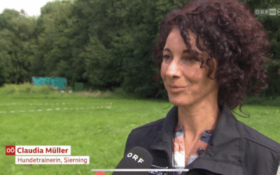 ORF-Interview